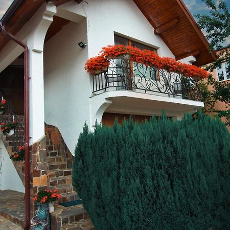 Vila Casa Ade Ocna Şugatag Exteriér fotografie