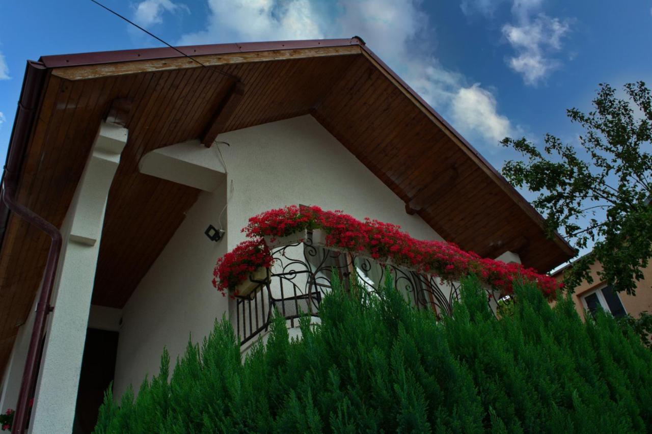 Vila Casa Ade Ocna Şugatag Exteriér fotografie