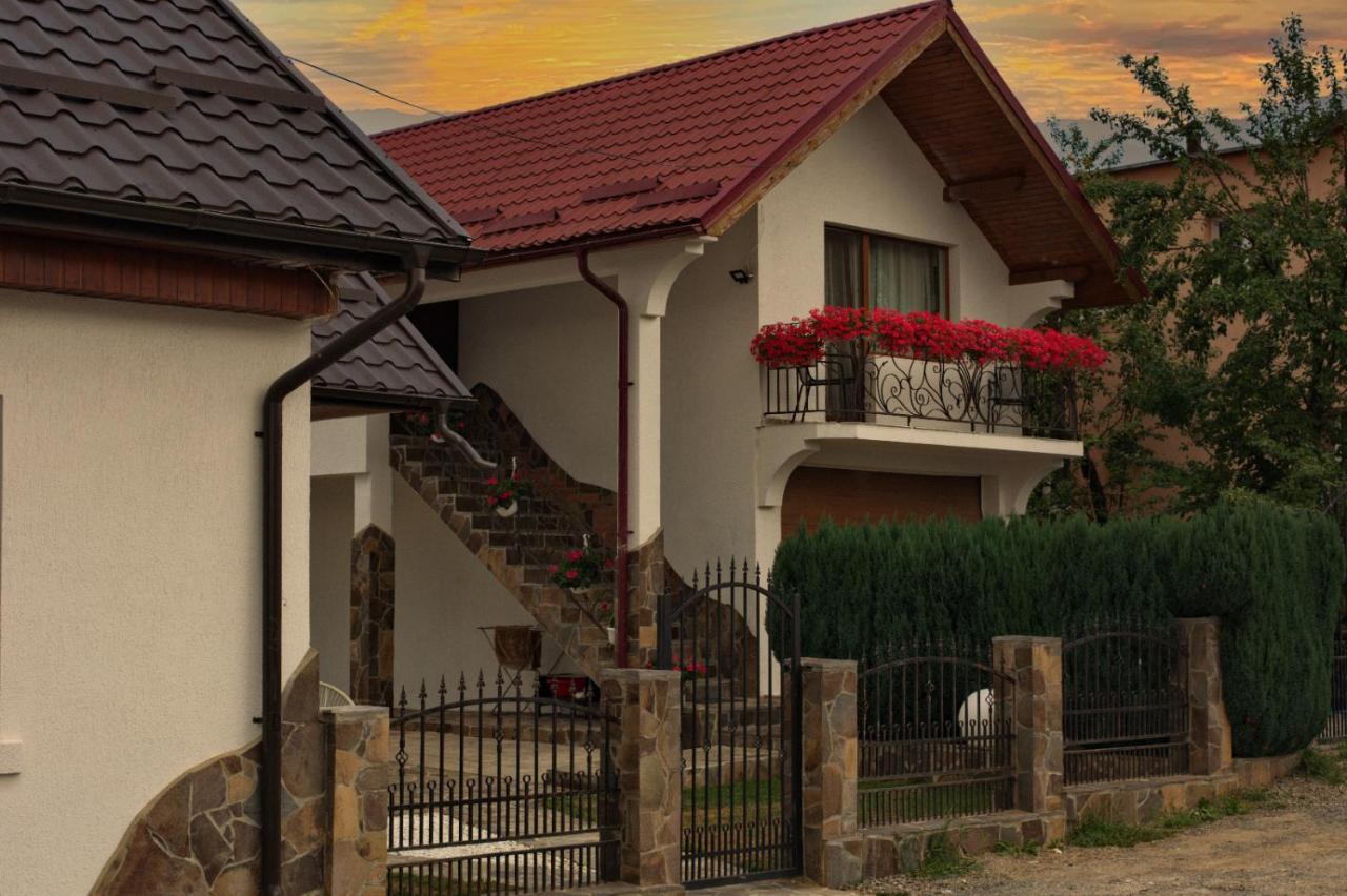 Vila Casa Ade Ocna Şugatag Exteriér fotografie