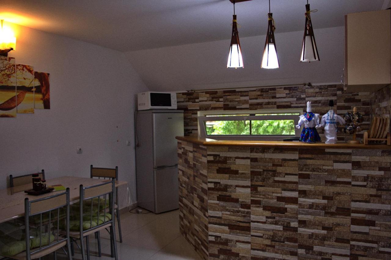 Vila Casa Ade Ocna Şugatag Exteriér fotografie