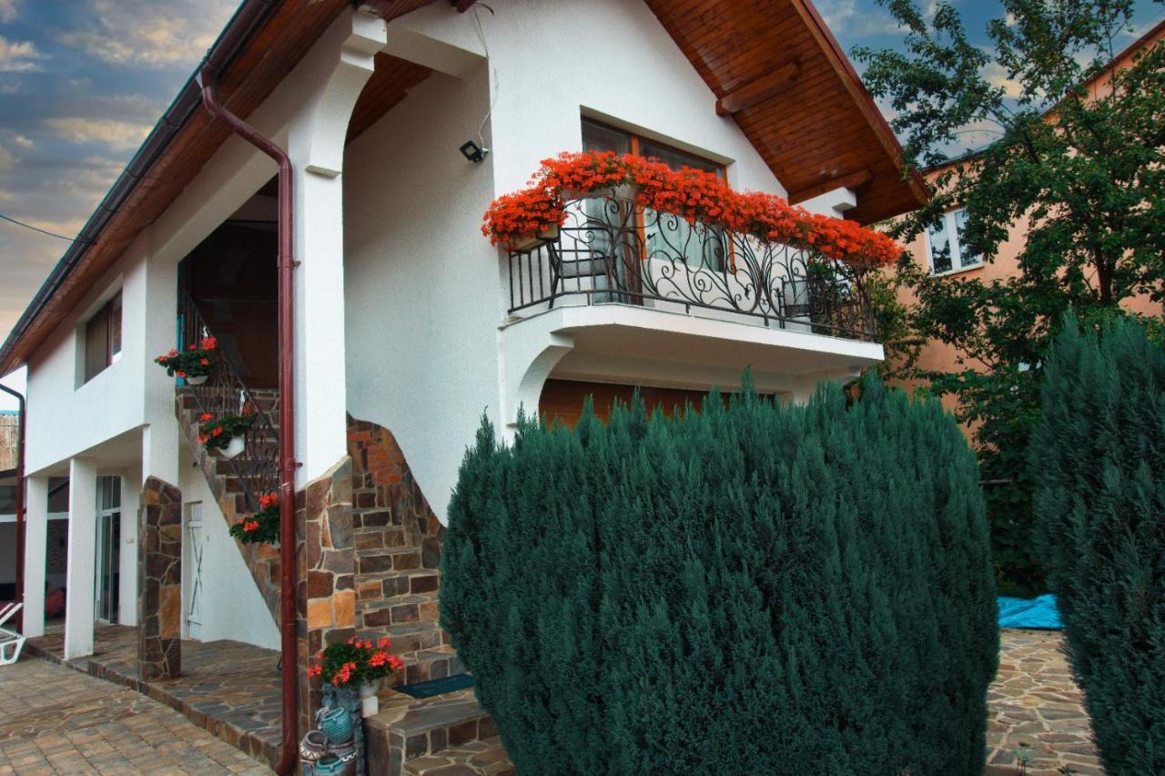 Vila Casa Ade Ocna Şugatag Exteriér fotografie