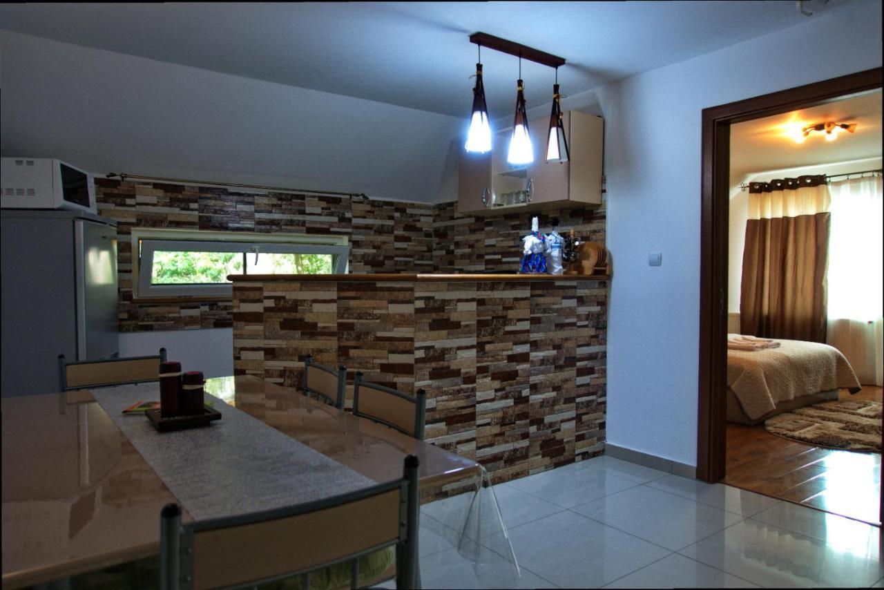 Vila Casa Ade Ocna Şugatag Exteriér fotografie