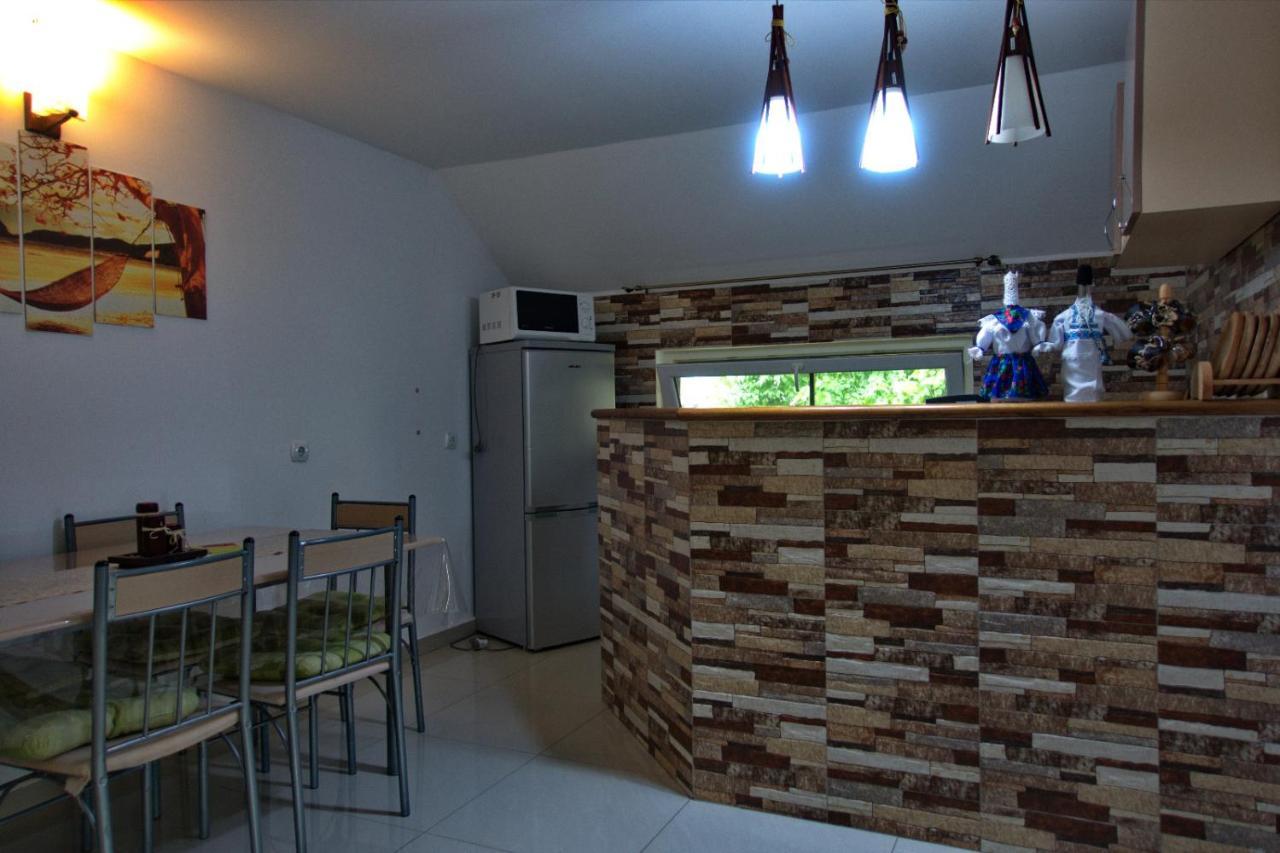 Vila Casa Ade Ocna Şugatag Exteriér fotografie
